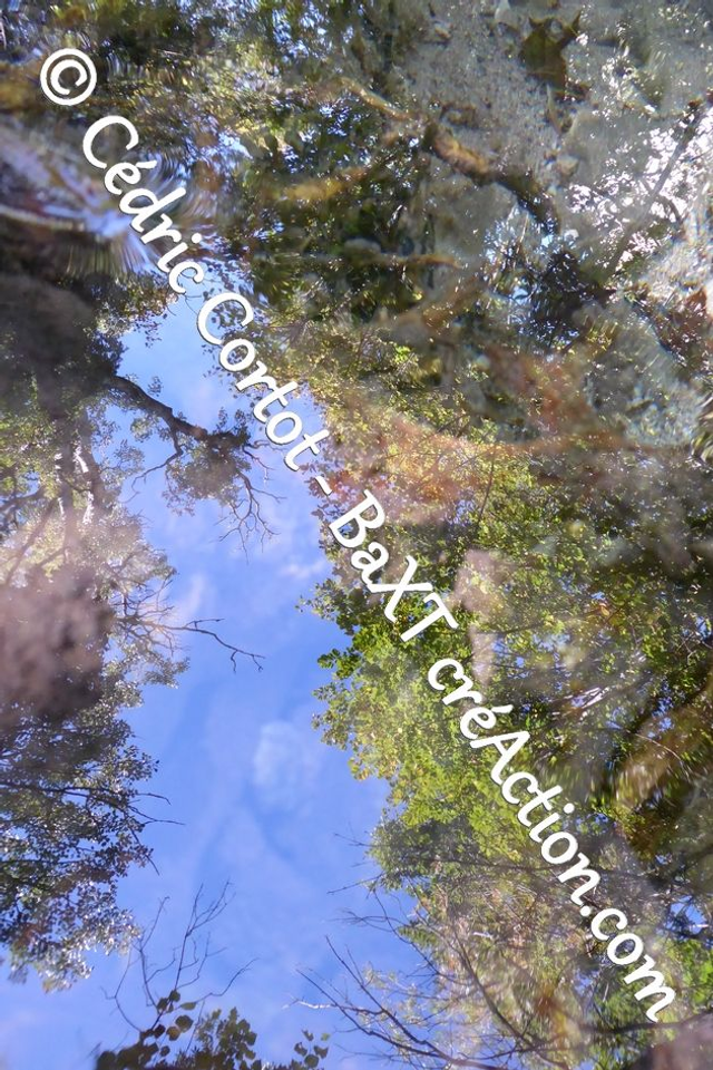 Impression sur alu dibond - Reflets et cours d'Eau (ref P1180786)