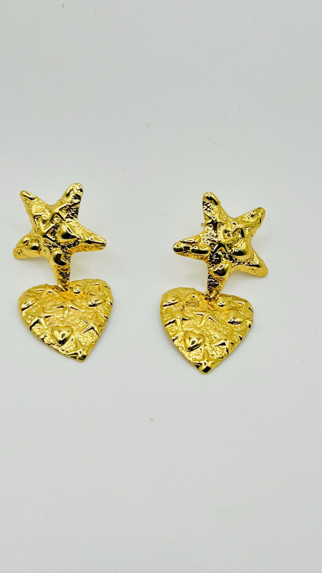 Stainless Steel Earrings (SSE101J)