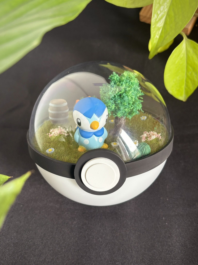 🌼 Terrarium Pokémon - Édition printemps -  Tiplouf