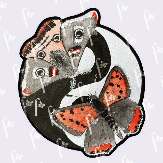 Papillons Yin Yang