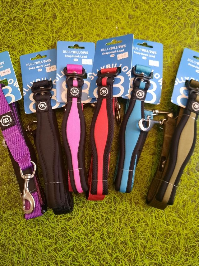 Bullybillows - Snap Hook Lead 1.2m