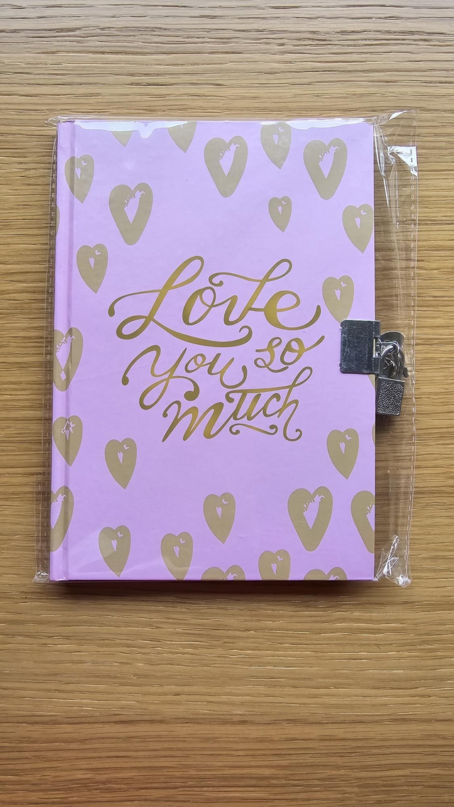 Journal intime Coeurs Love Neuf