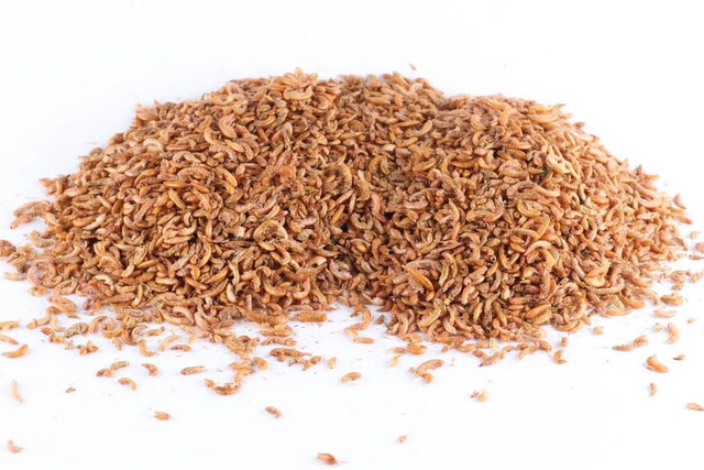 Sušený gammarus 50g