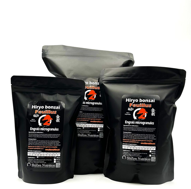 Hiryo bonsaï Feuillus