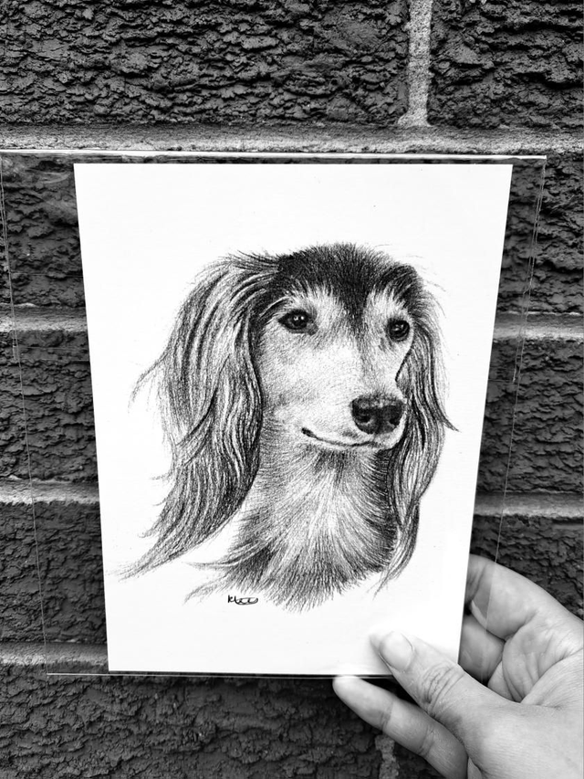 Saluki Mini Print