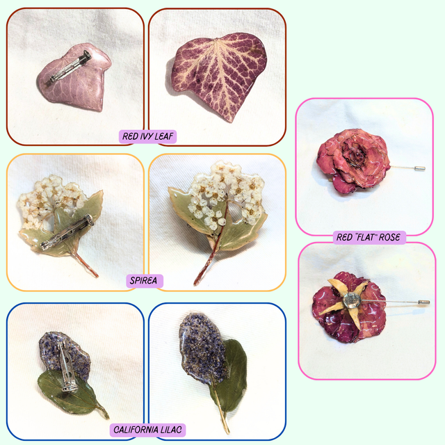 Full Foliage Brooches | Real Plants & Flowers