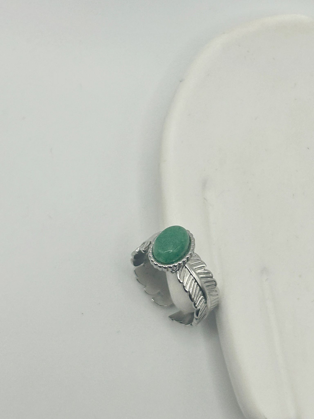 Stainless Steel Ring (SSR69J)