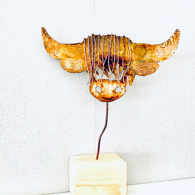 Duncan the Coo Hairy