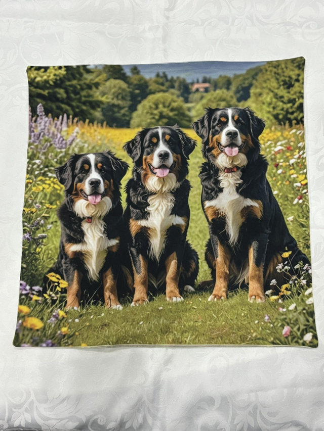 Bernese Cushion Cover