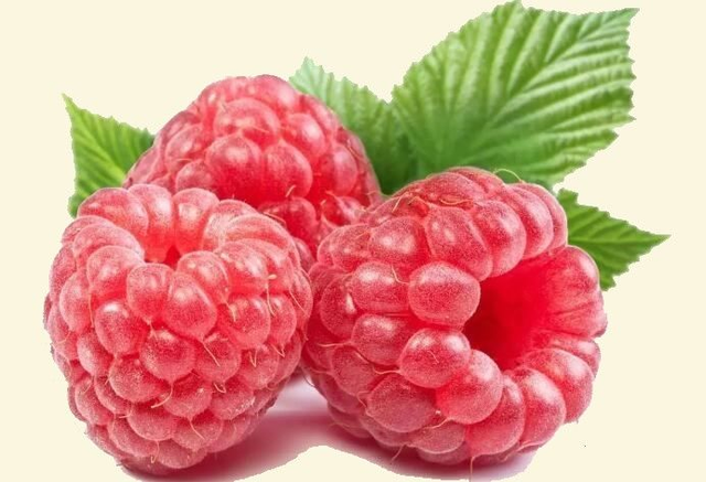 Confiture de Framboises