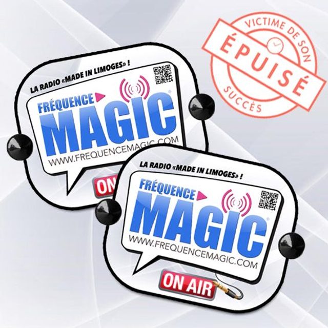 PARE SOLEIL BULLE (LOT DE 2)