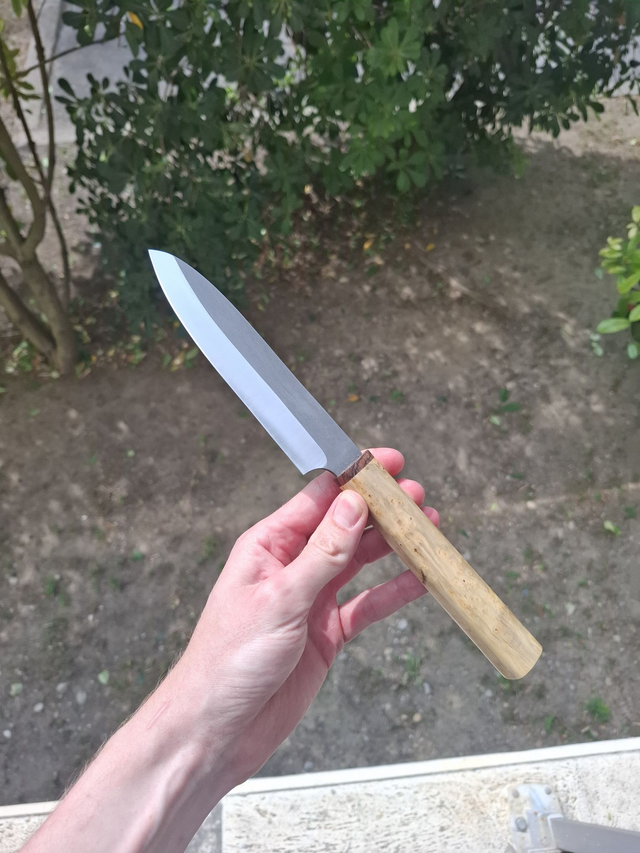 Multi 13cm - Loupe de buis