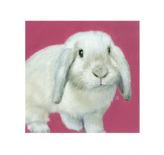 Print (medium) 'NOLA' (Konijnenparadijs)  