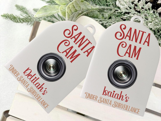 Santa Cam