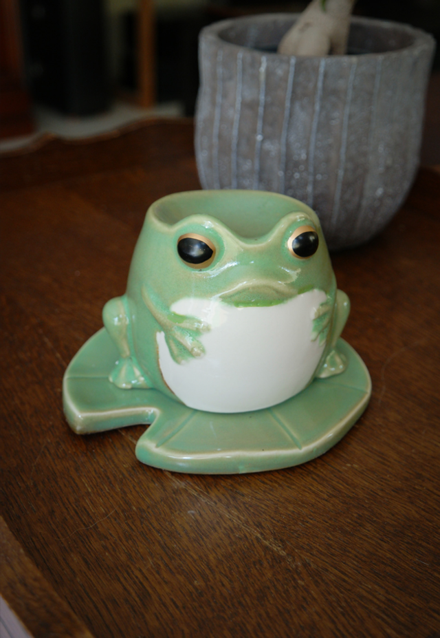 Brûleur grenouille sur nénuphar