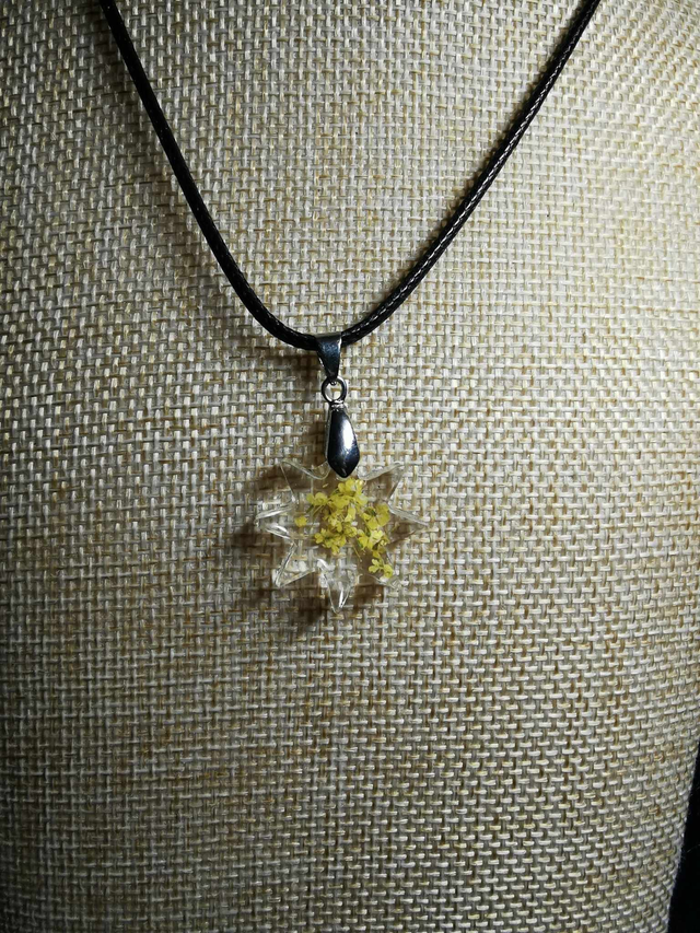 Etoile fleurs jaunes