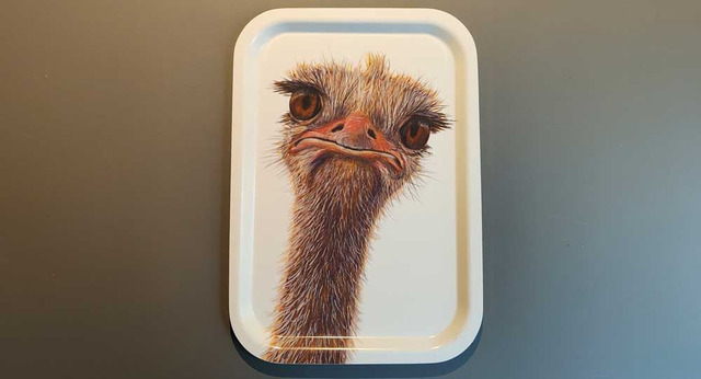 Illu-Serve Straussblick design Kathrin Schärer 2024