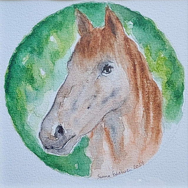 Hevonen. Akvarelli paperille. 15×15cm.
