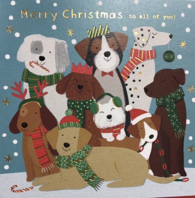 Christmas All of You (Group of Dogs) 
