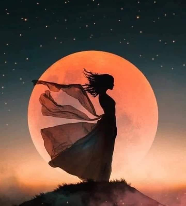 Trimestre d'exploration personnelle