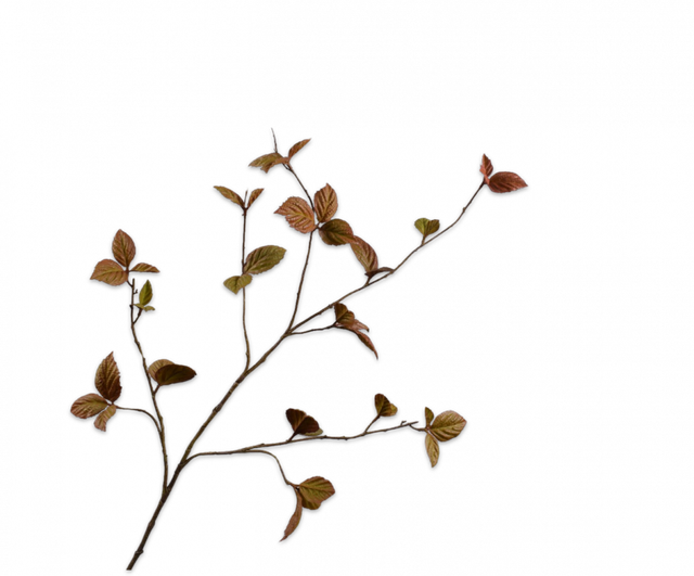 Silk-Ka Bladtak Licht Bruin 116cm