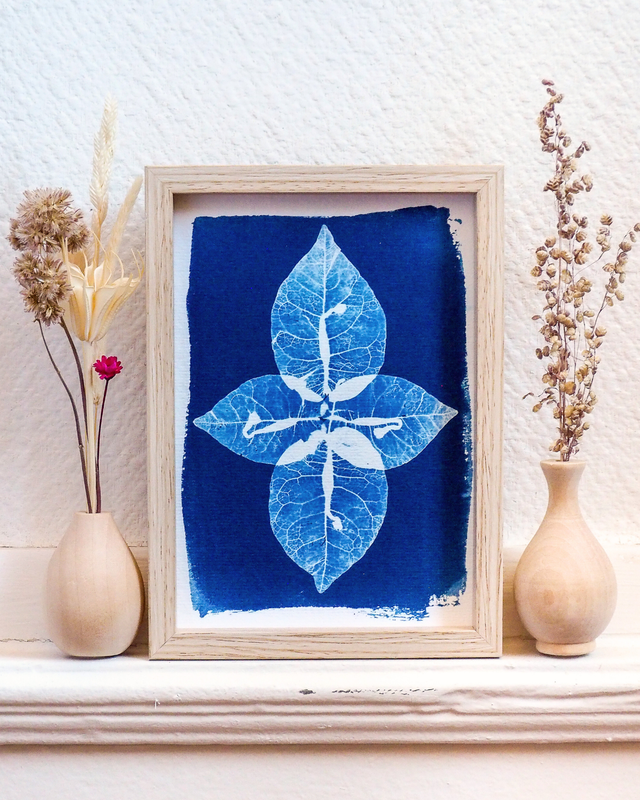 Petit Format - Bougainvillier