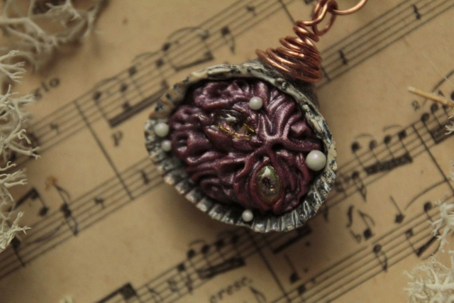 Coquillage Métamorphe- n°19