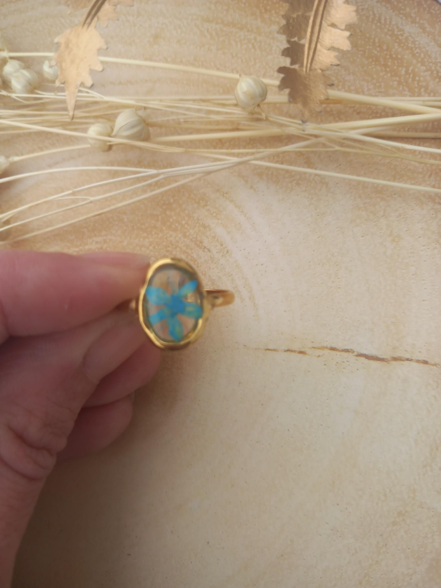 Bague vëa 