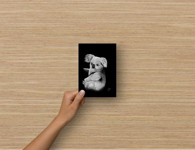 Carte Postale - Koala (reproduction Aquarelle)