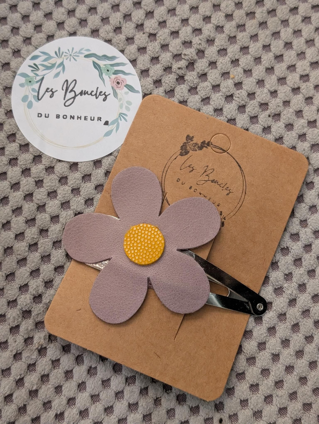 Barrette b060