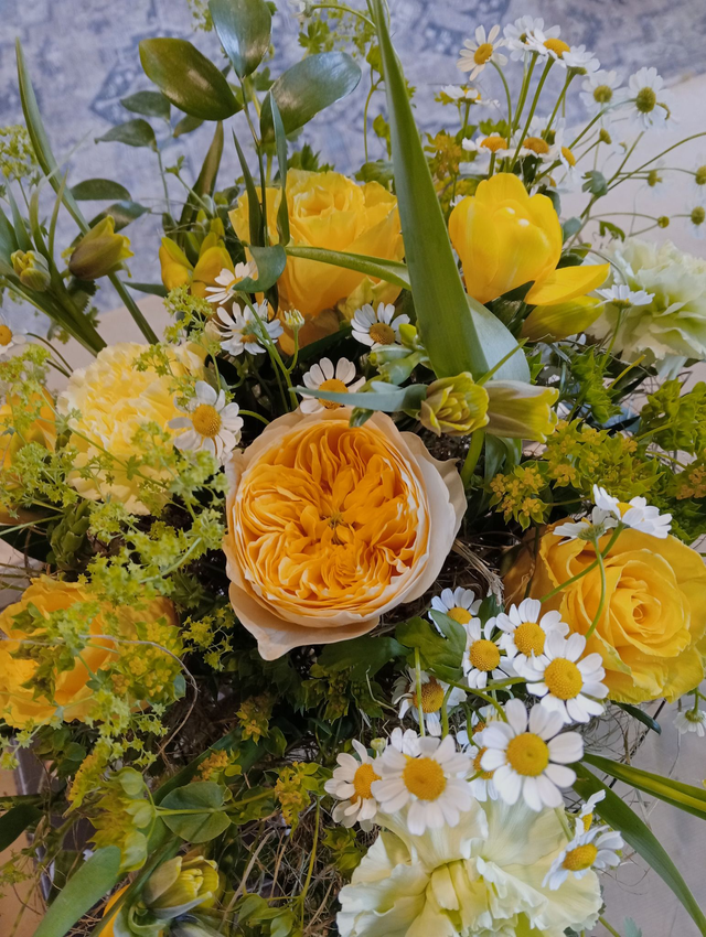 Kimppusunnuntai 8.2.2026 klo 15 - 17