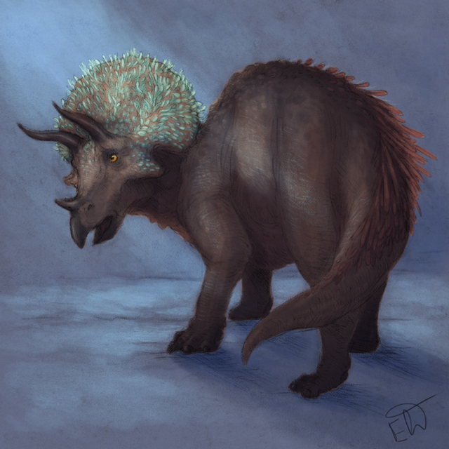 Triceratops 