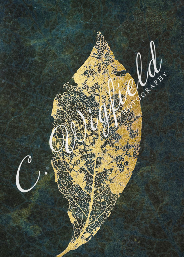Laced Magnolia Leaf Study II Mounted Print