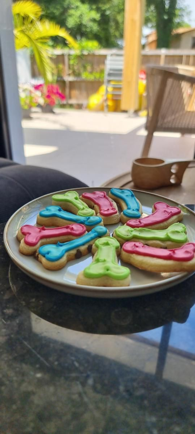 Bitscuits mélange vanille / pépites de chocolat 120 gr