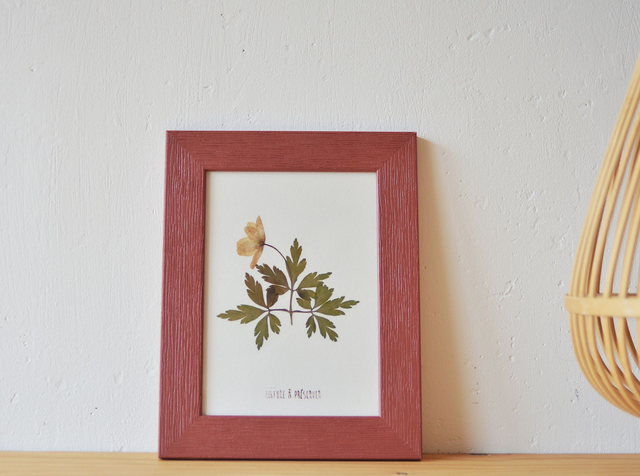 Tableau 13*18 cm  - Herbier anémone