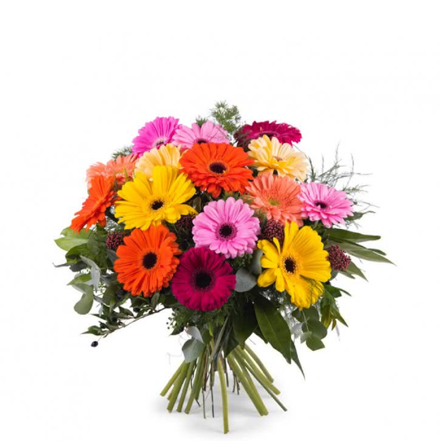 Bouquet di solo Gerbere colorate 