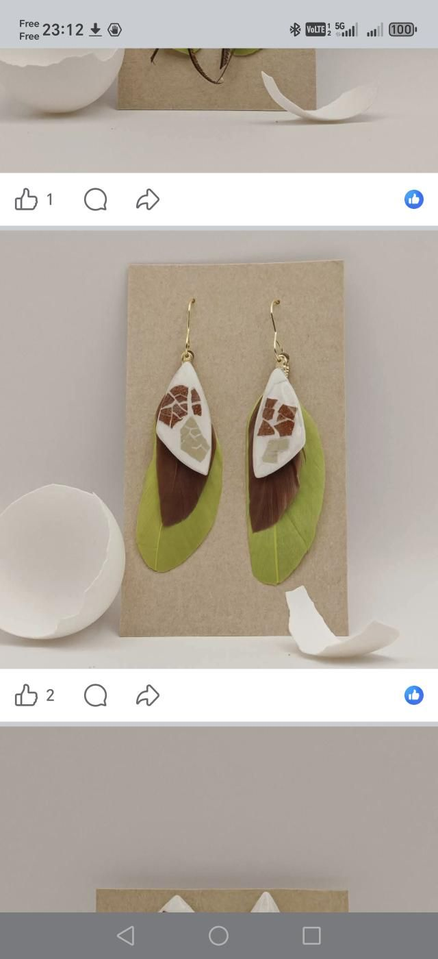 Boucle d'oreille avec coquilles naturellement vertes et marrons