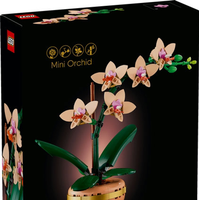 10343 Mini Orchidea