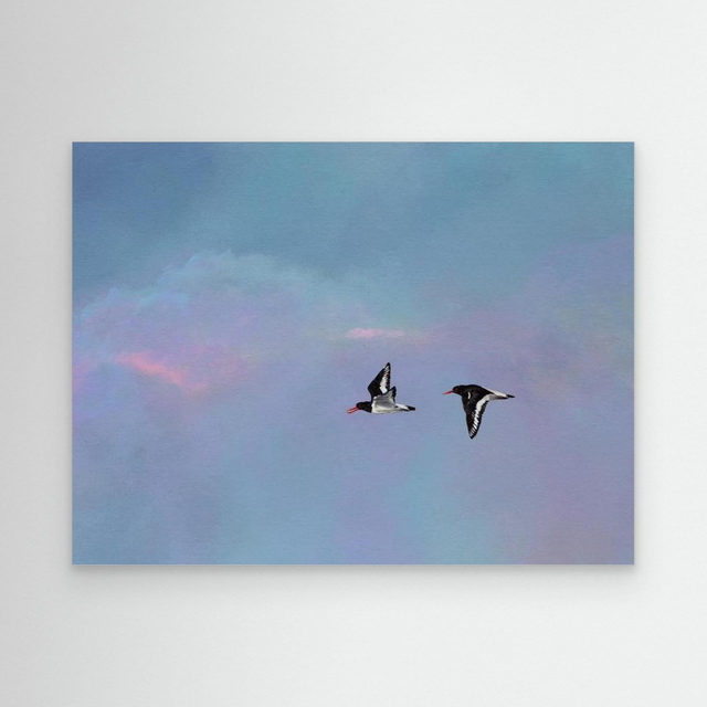 Tide Chasers - (Oyster Catchers)