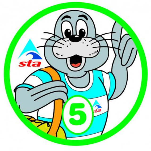 STAnley 5 - Certificate with Badge