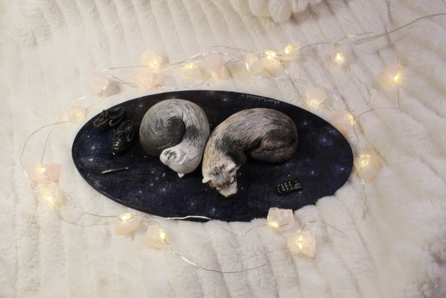 Mes 2 animaux - objet + noms