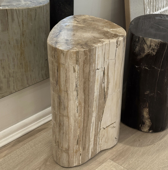 Petrified Wood Stool | 5 (Collection Only)
