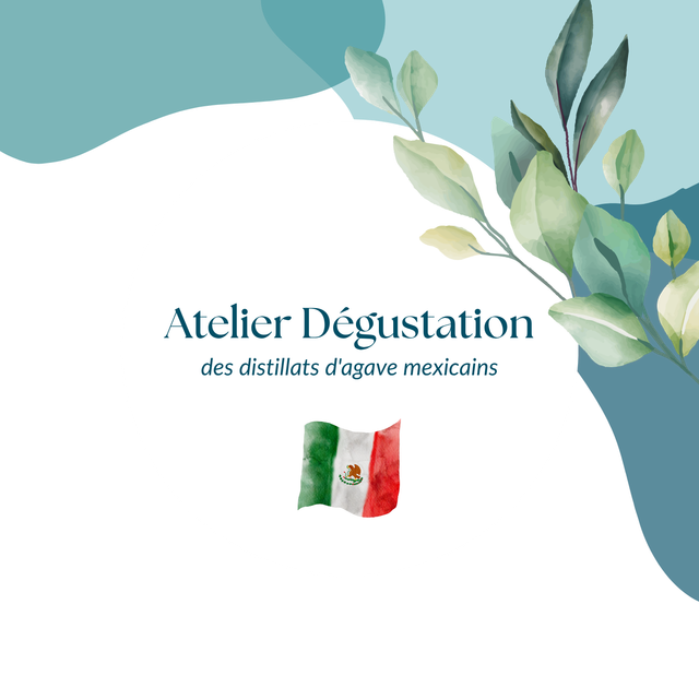 Dégustation découverte des distillats d'agave mexicains  
