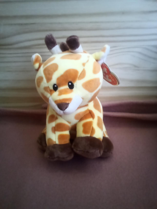 Girafes 