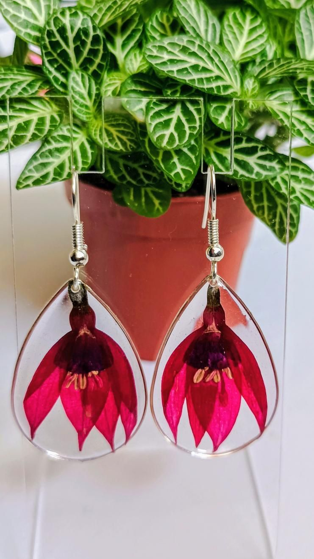 Boucles d&#039;oreilles Fuchsia magellanica