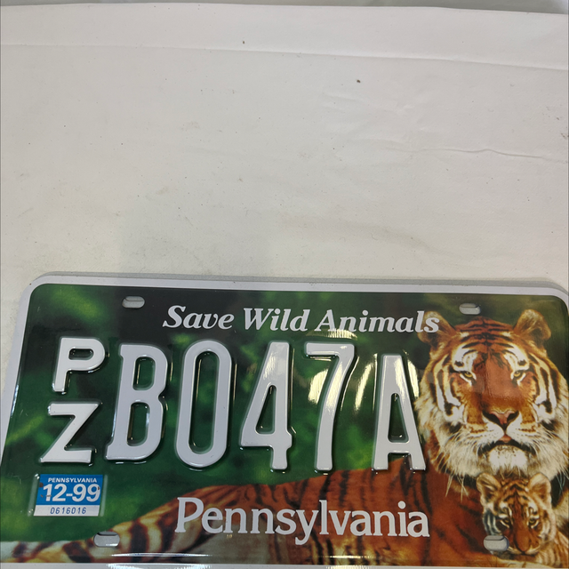 plaque d’immatriculation décorative 