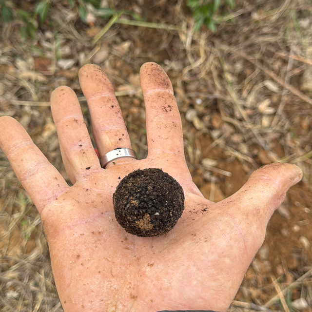 Offre découverte ! 30€ livrer chez vous 