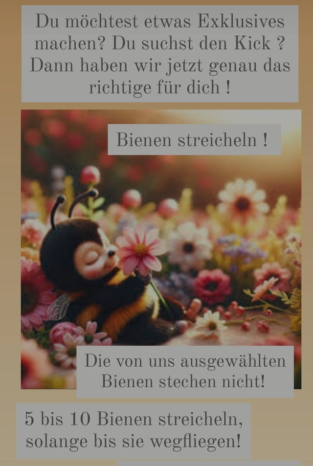 Bienen streicheln 