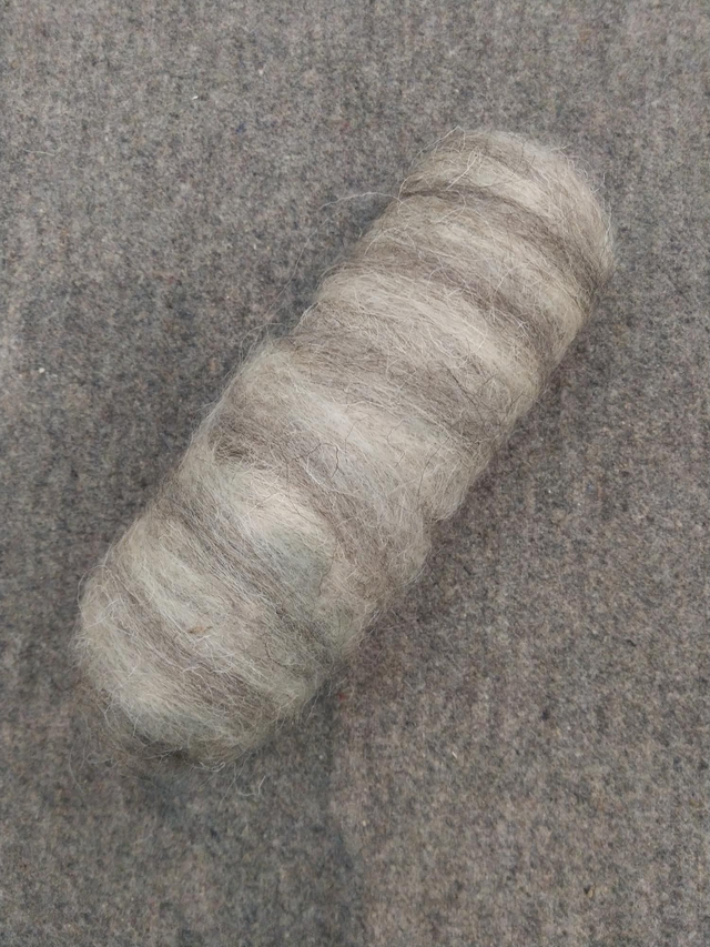 Nappe cardée - ruban  ( mélange  de toison  marron, gris )