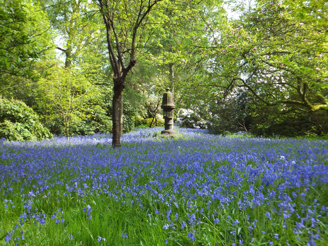 1 x Ramster Garden Entry as a voucher valid in May